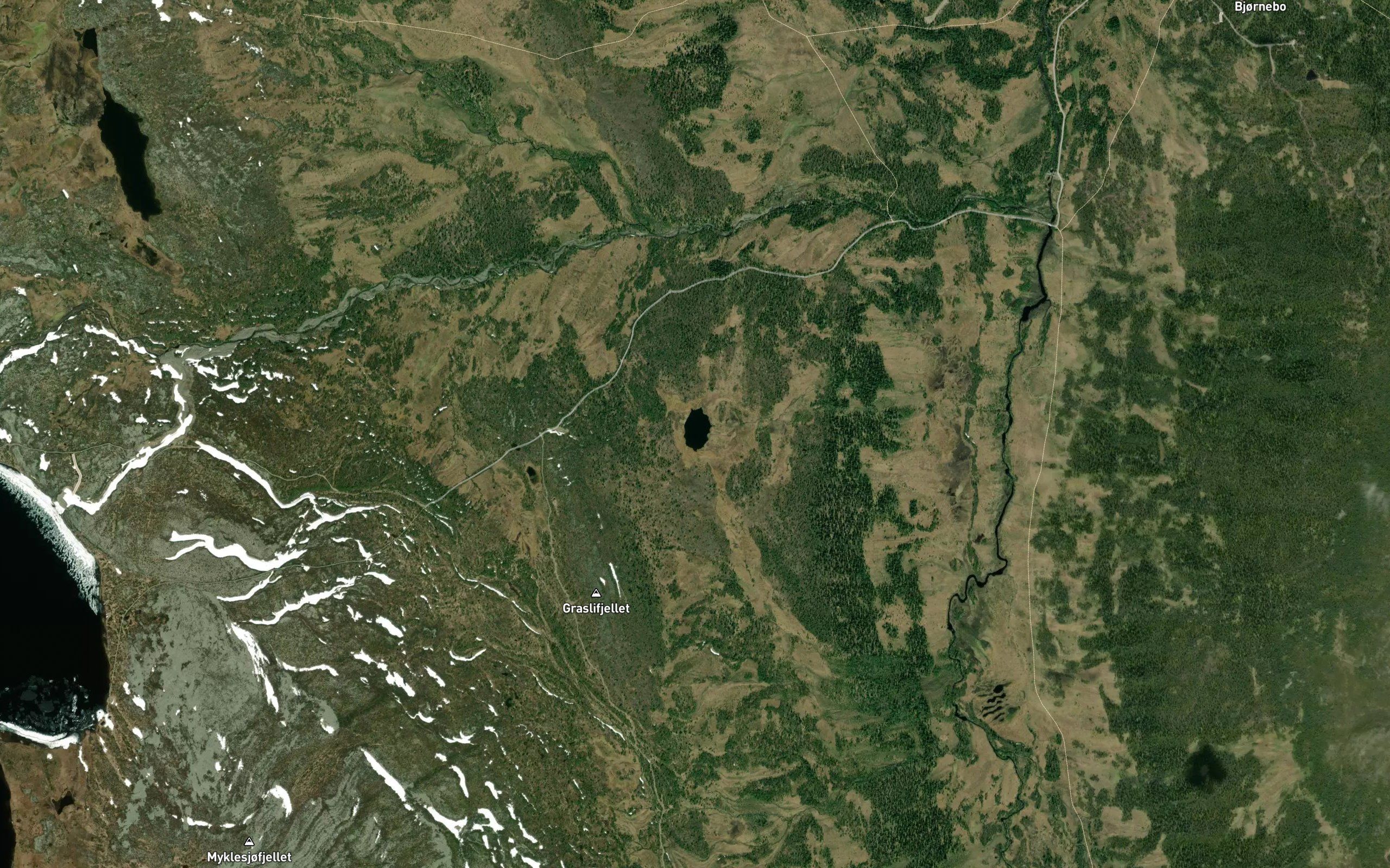 Graslitjernet