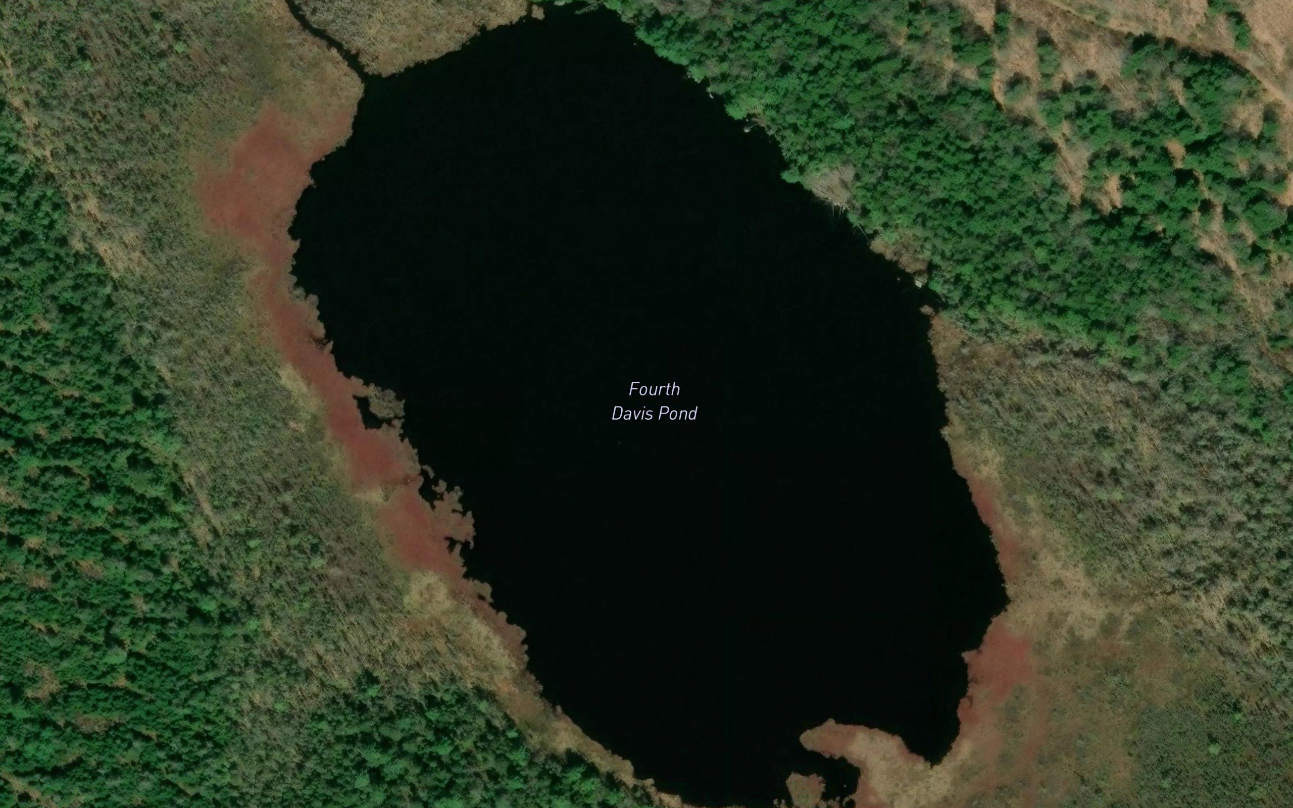 Fourth Davis Pond