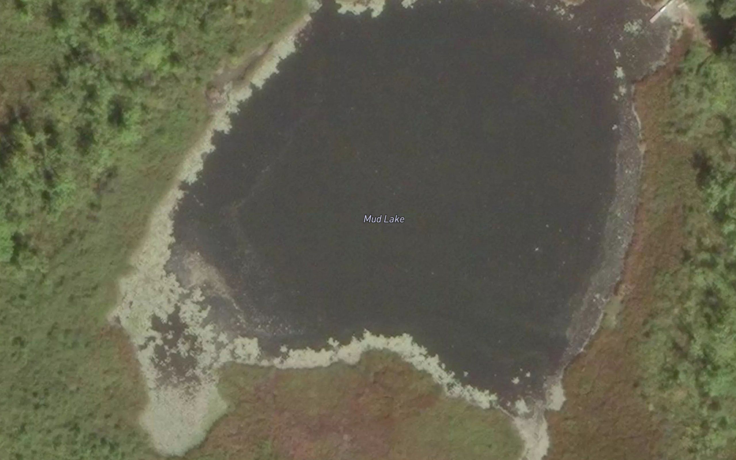 Mud Lake