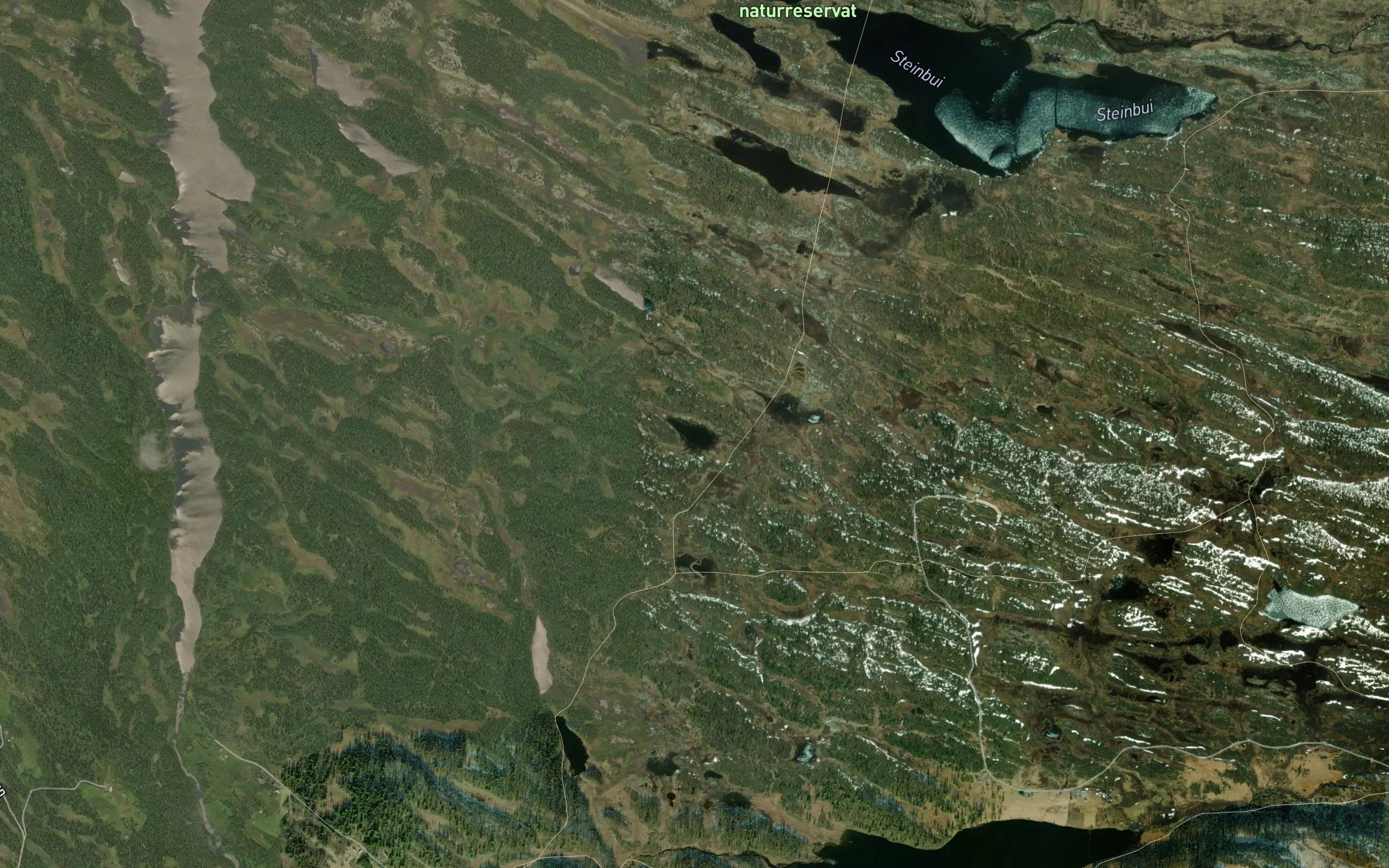 Slaveritjernet