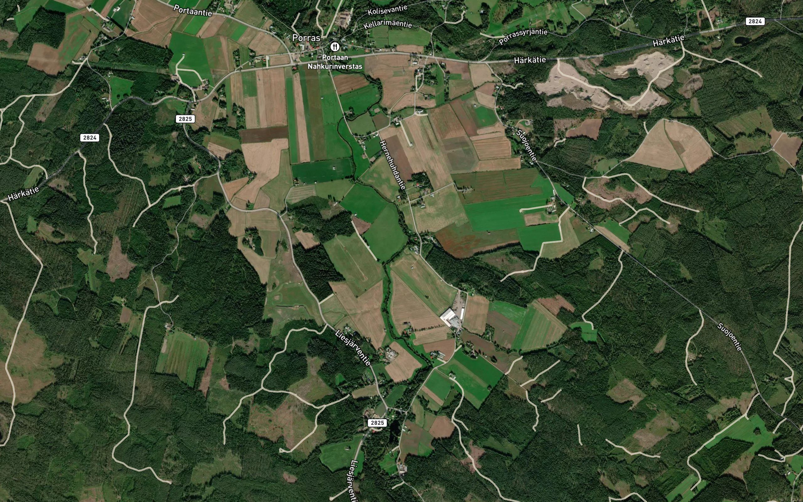 Kivioja