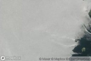 Bahia Lion