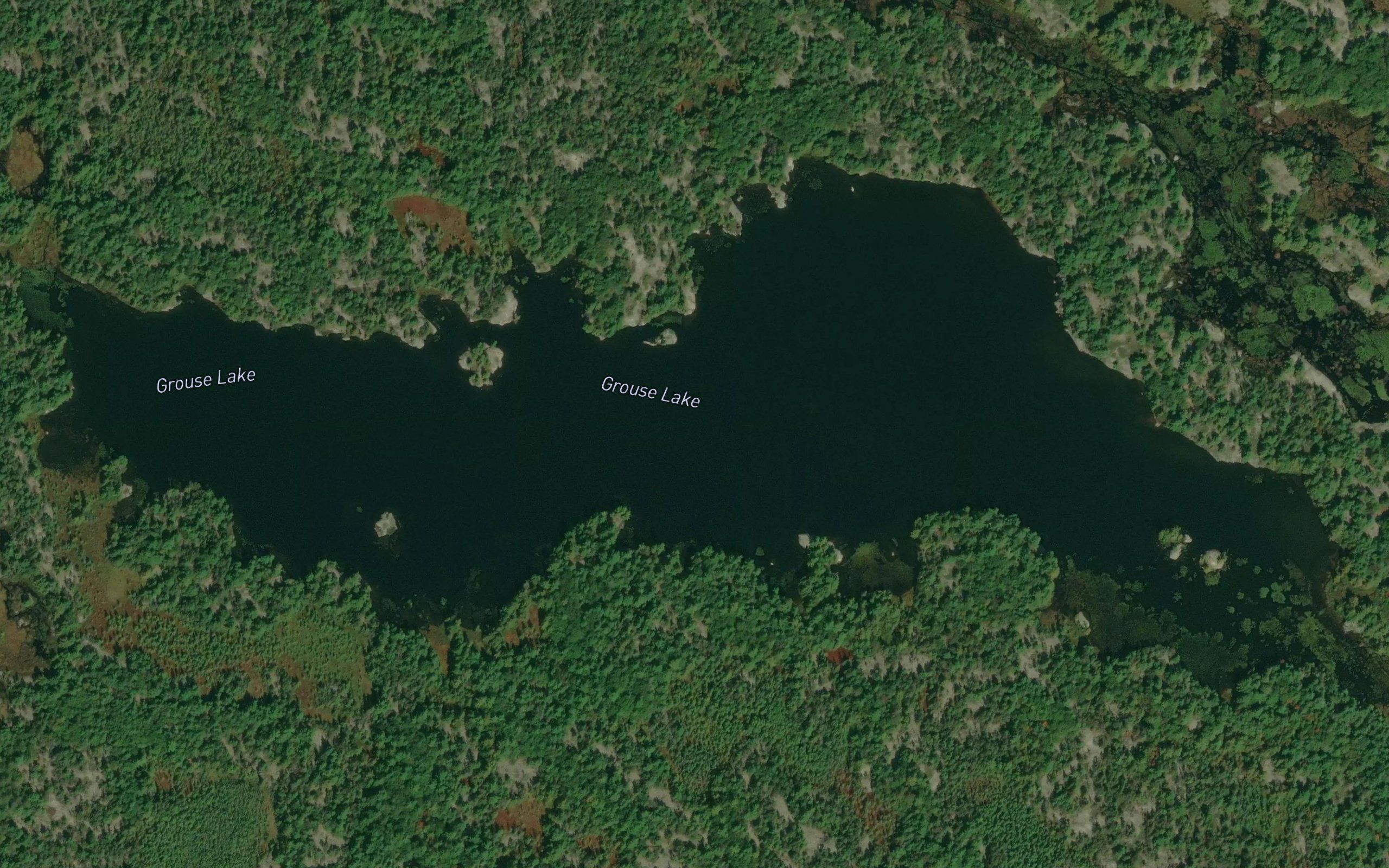 Grouse Lake