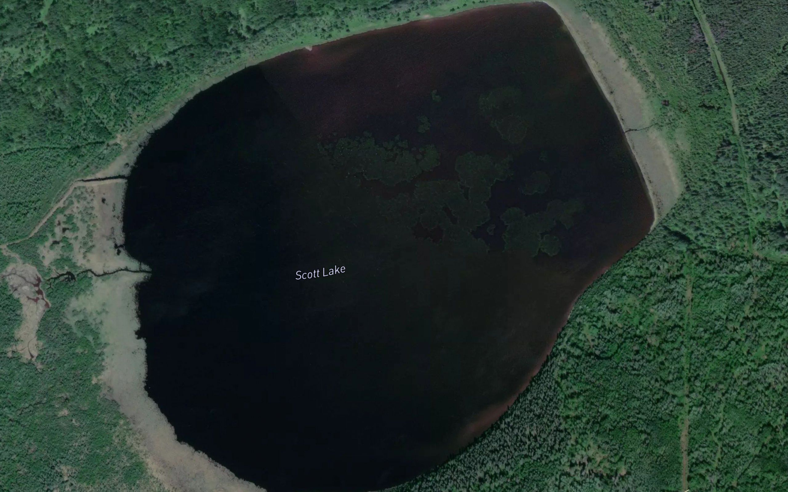 Scott Lake