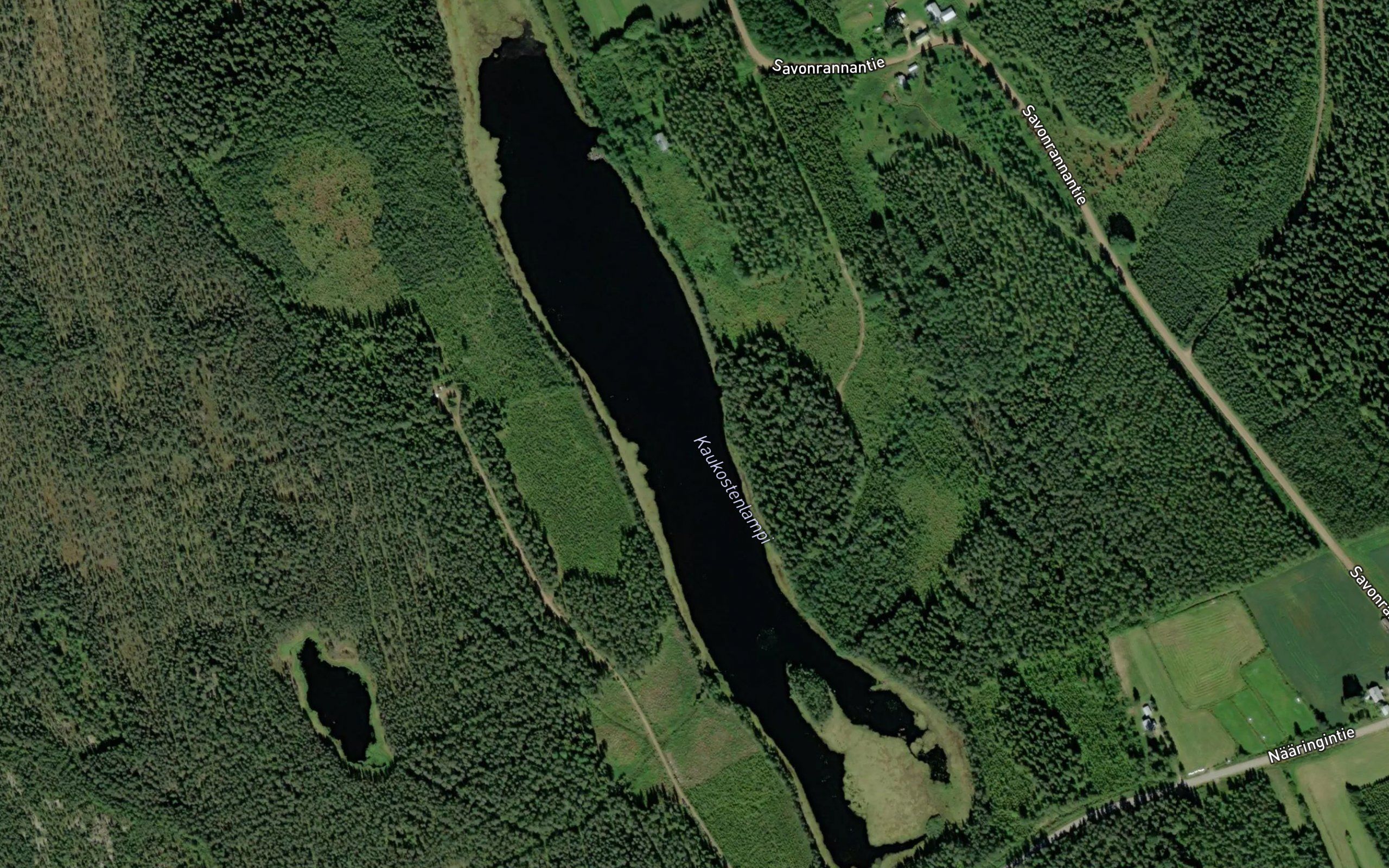Kaukostenlampi