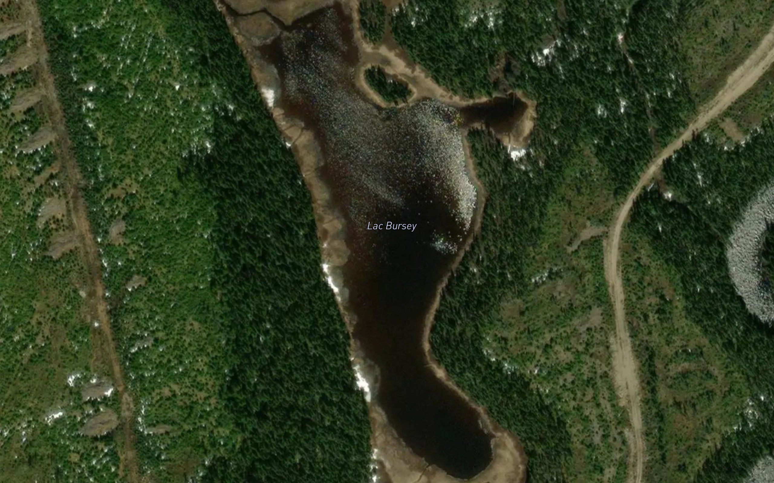 Lac Bursey