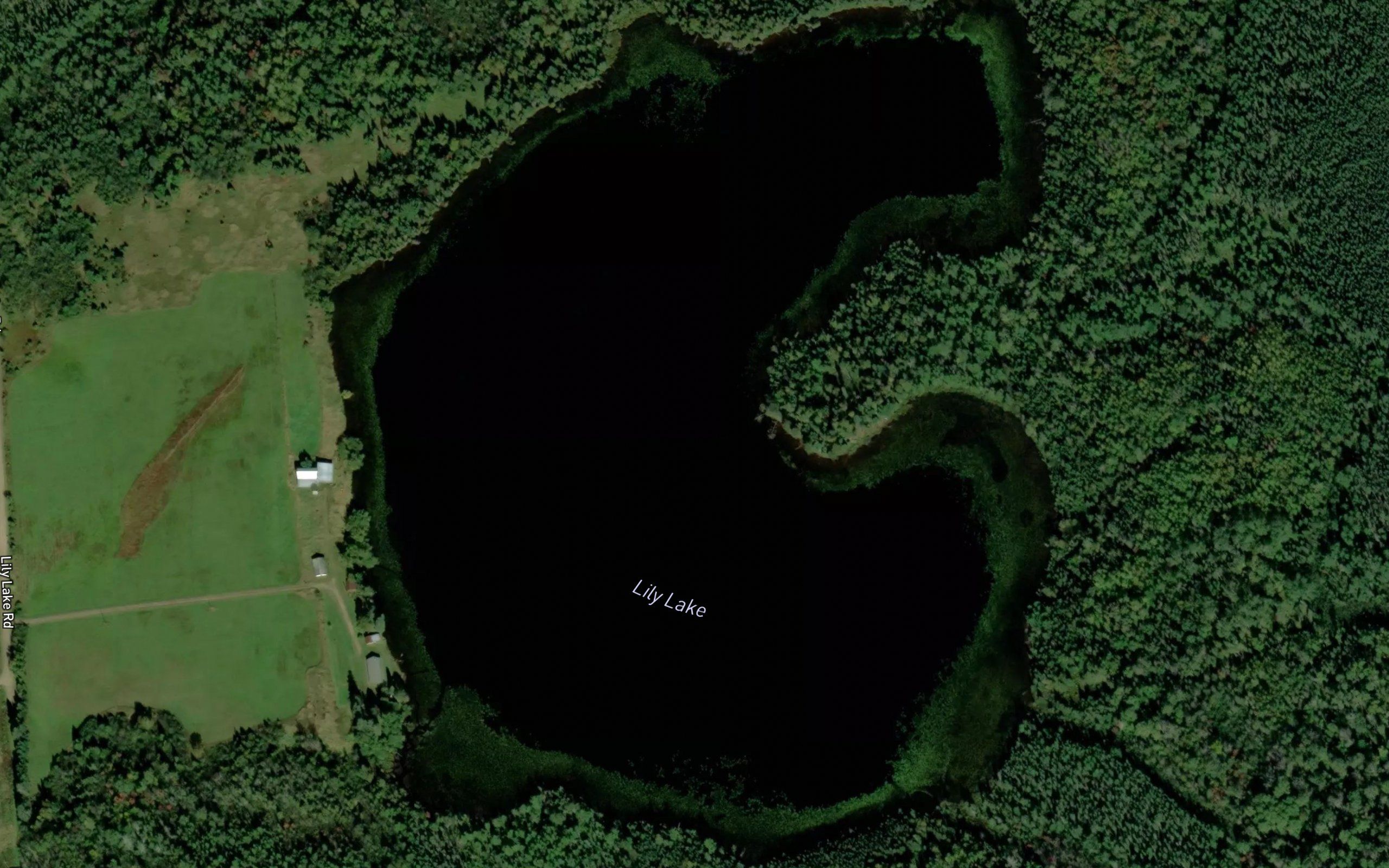 Lily Lake