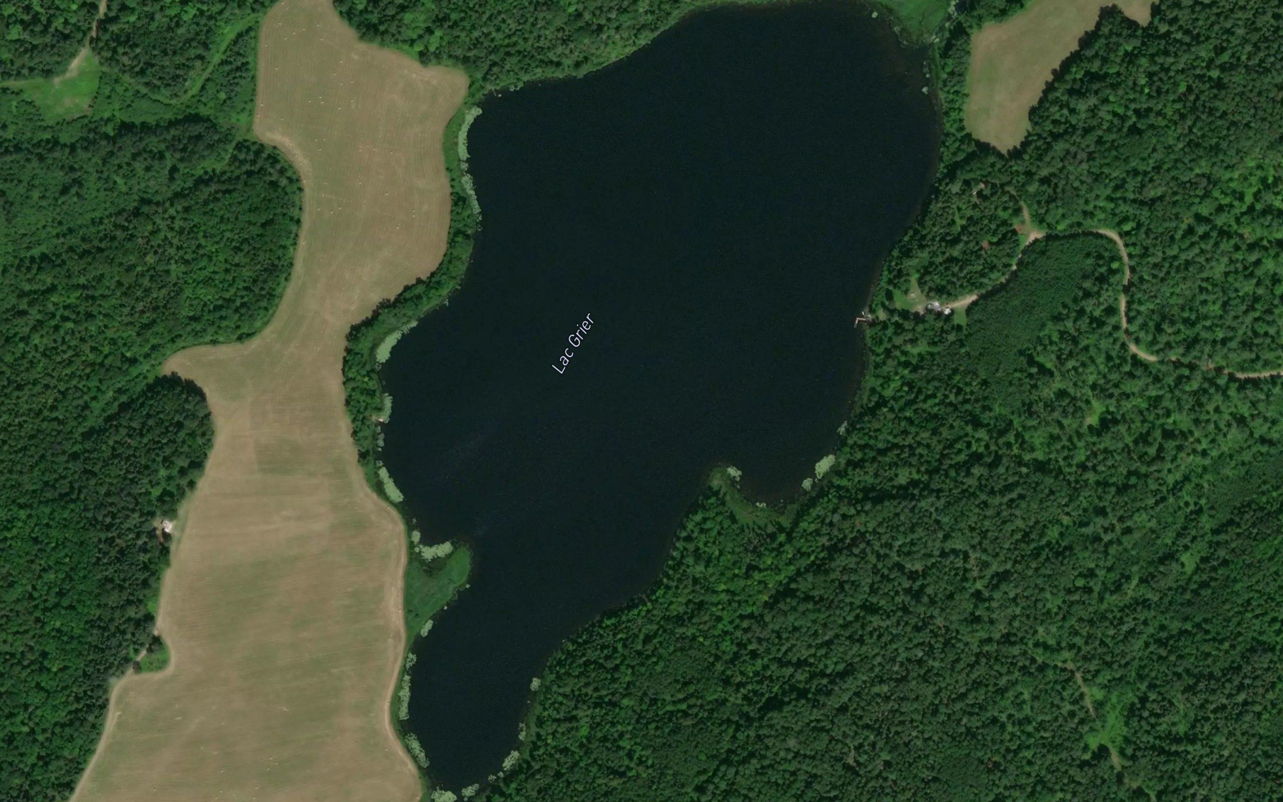 Lac Grier