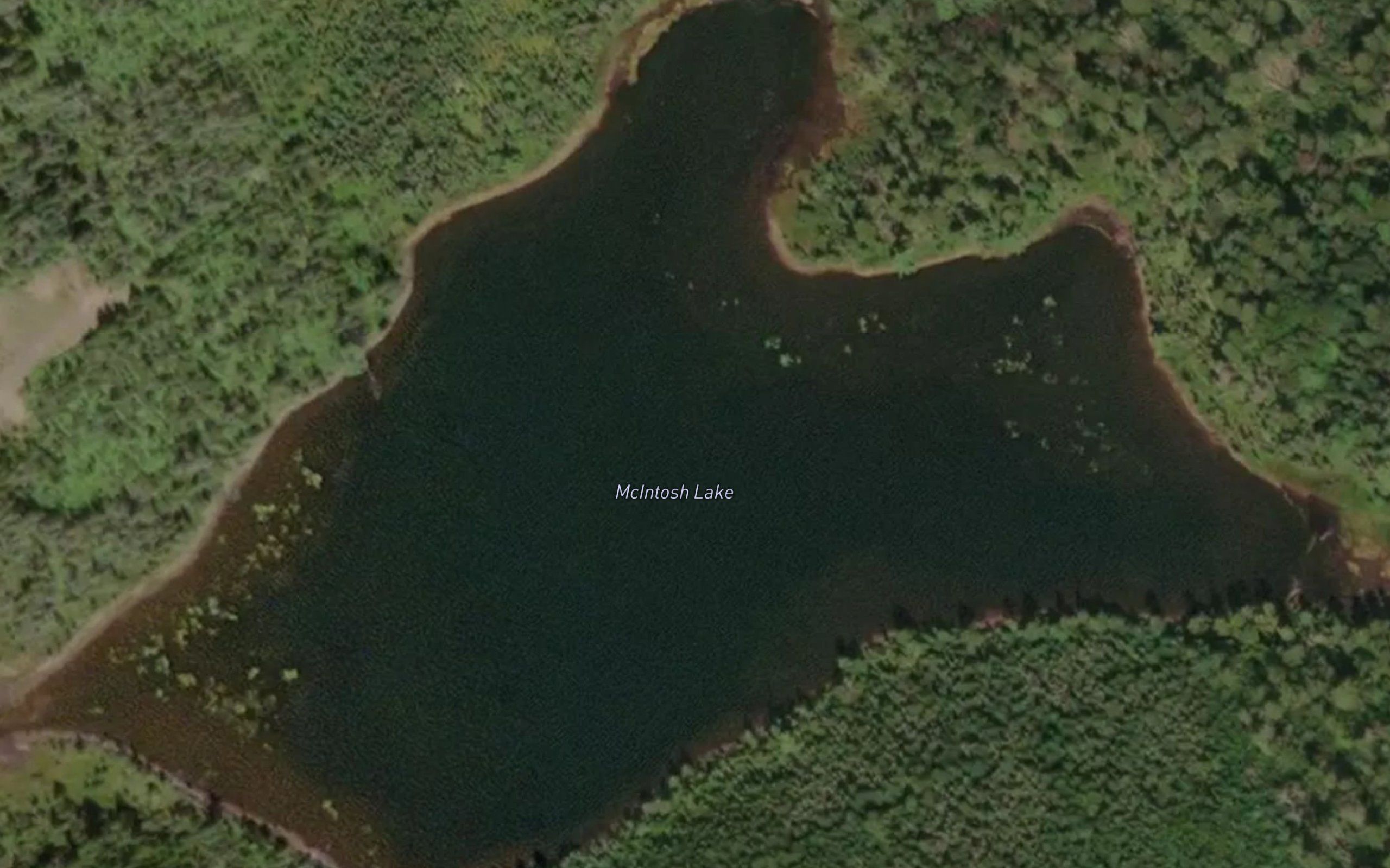 McIntosh Lake