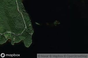 Ruoholuoto