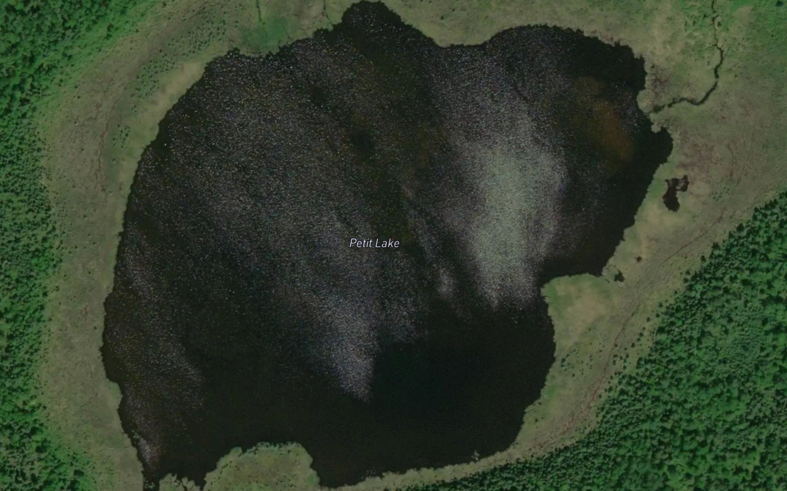 Petit Lake
