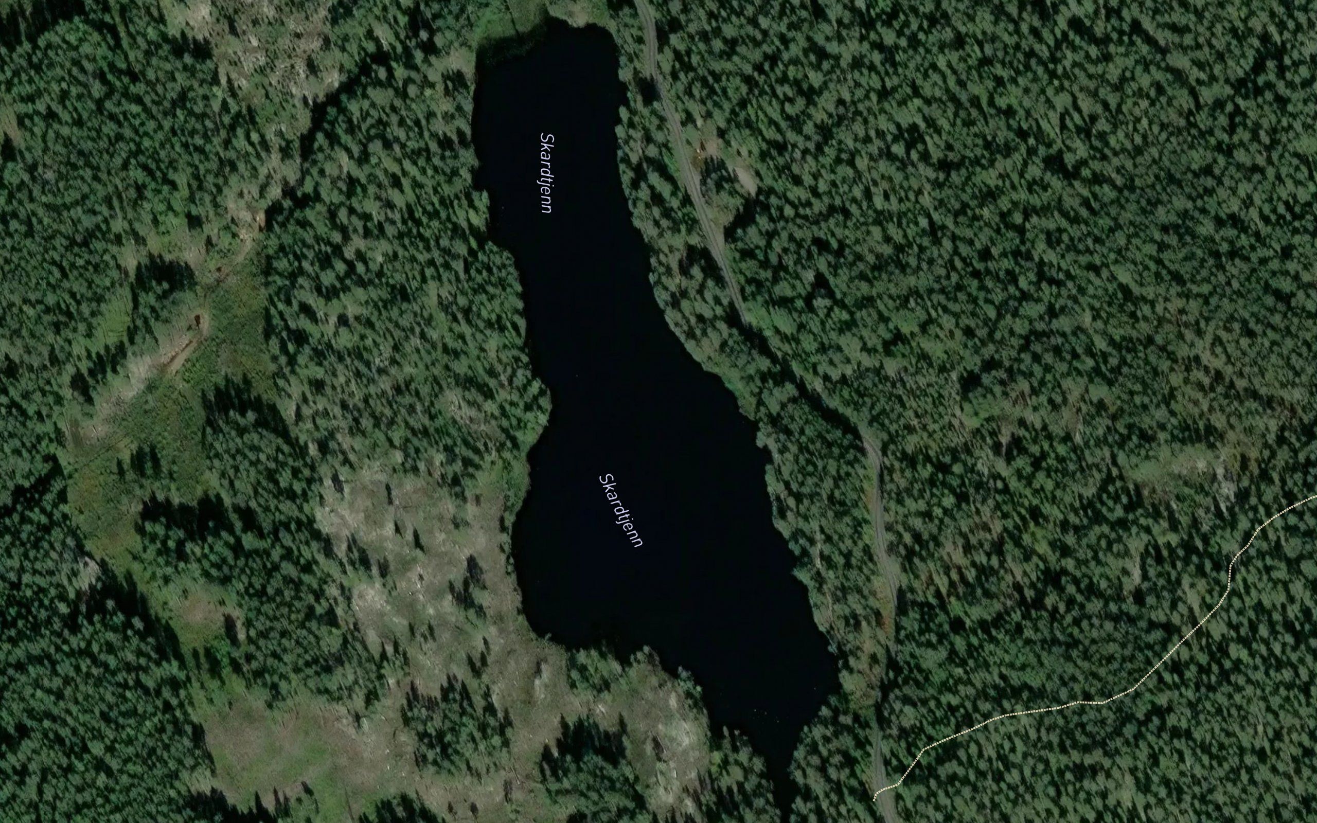 Skardtjern