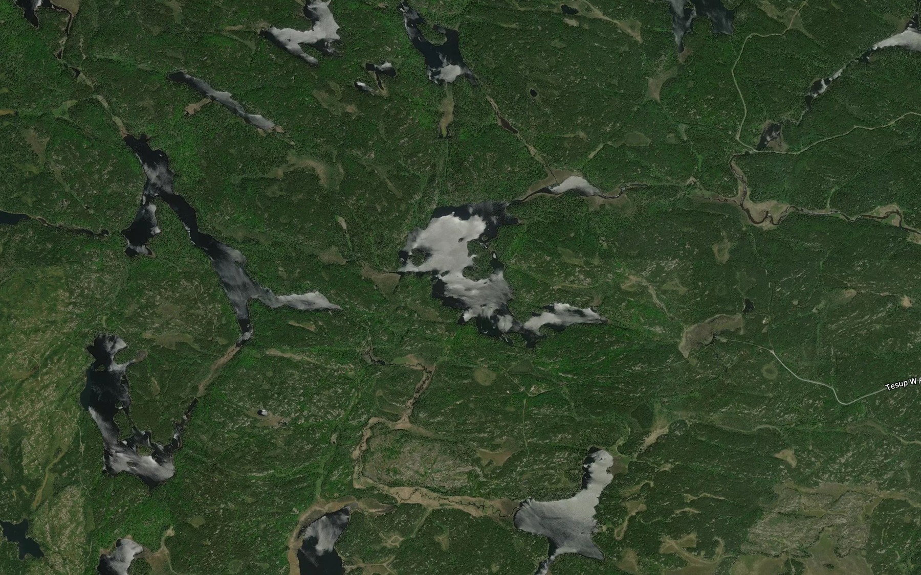 Satellite map of the Cabin Lake