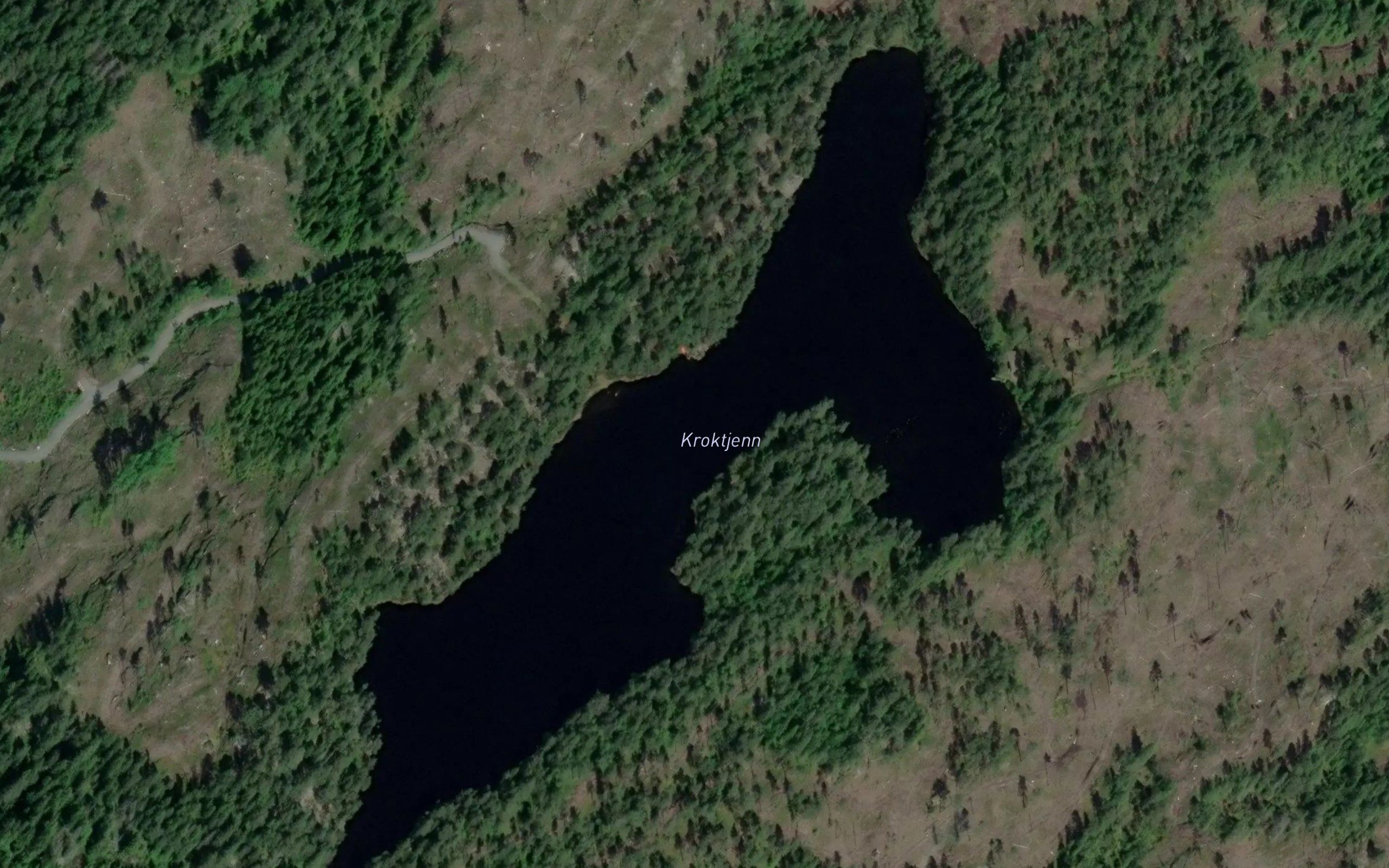 Kroktjern