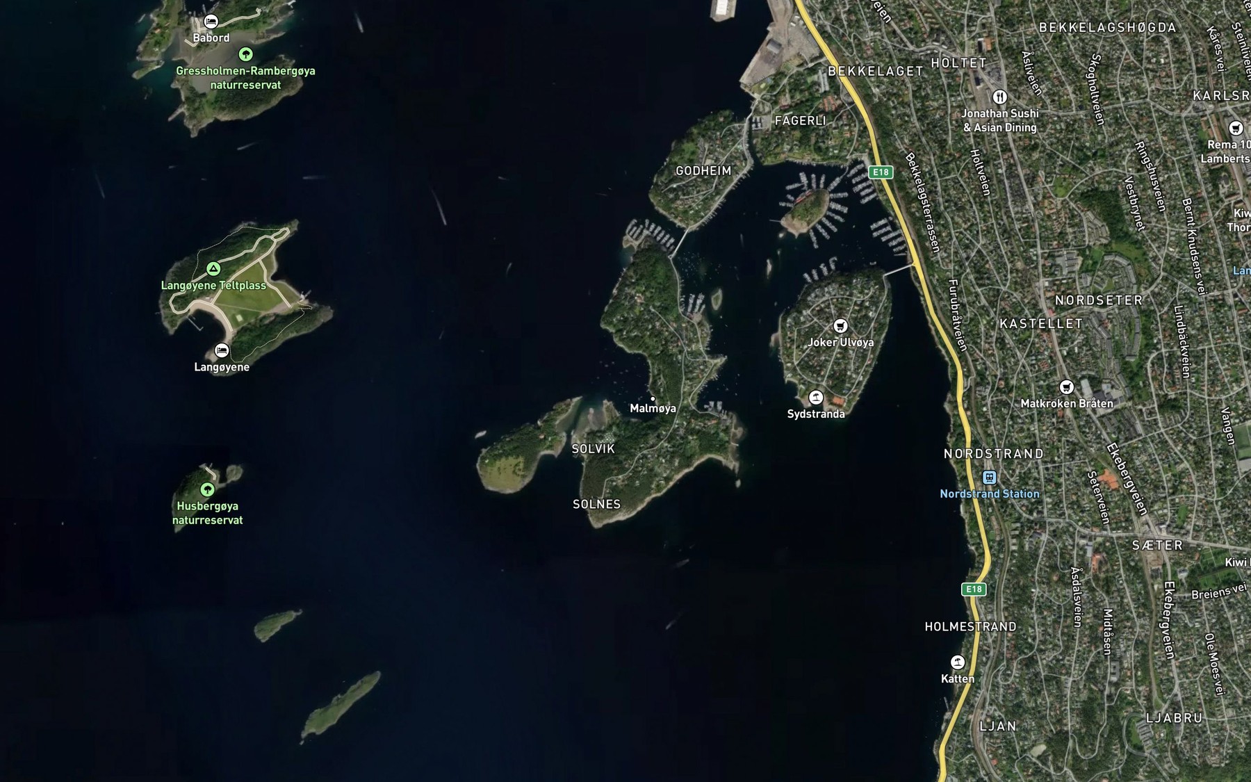 Satellite map of the Skinnerbukta
