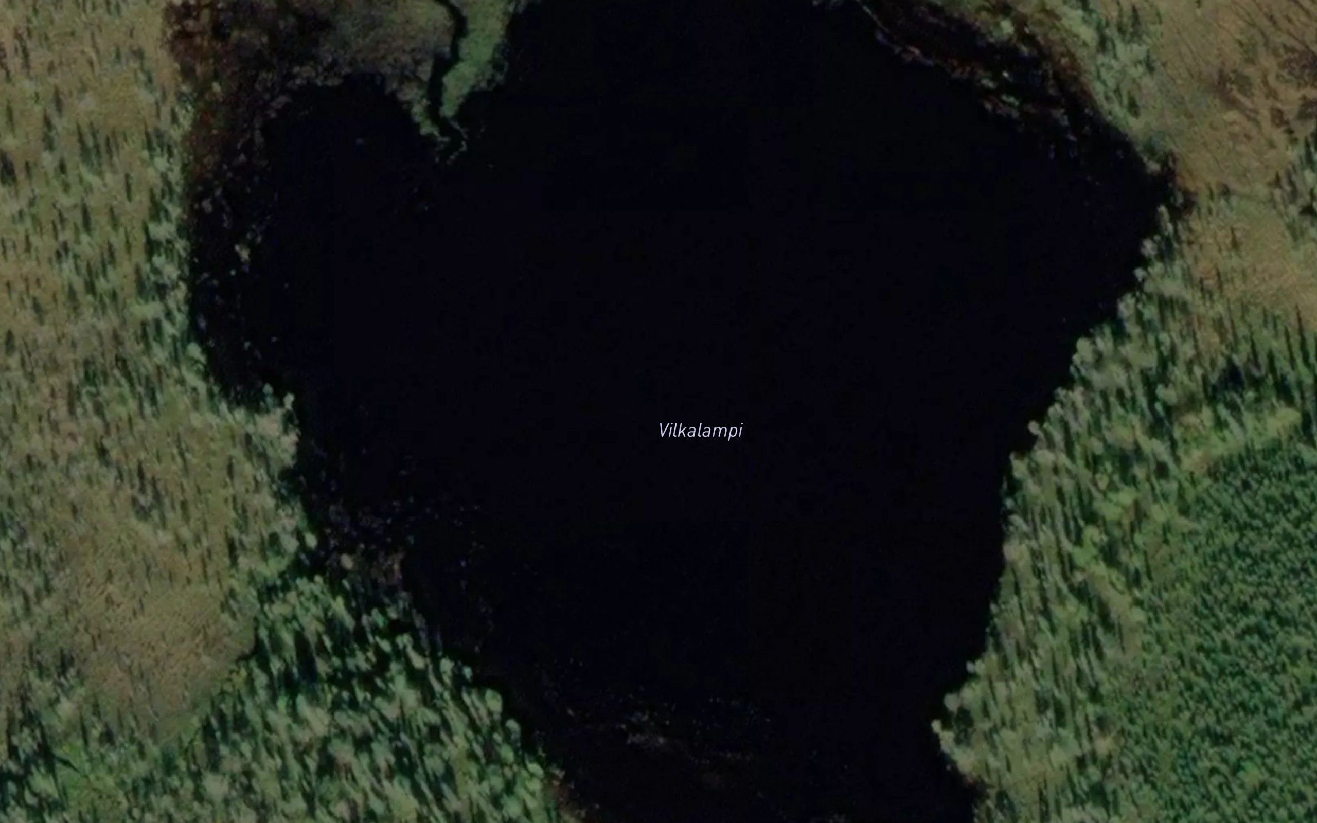 Vilkalampi