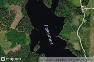 Poikelmus