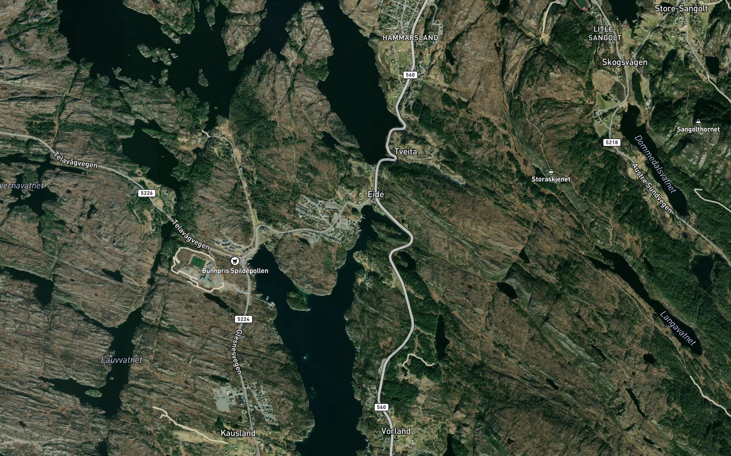 Eidespollen
