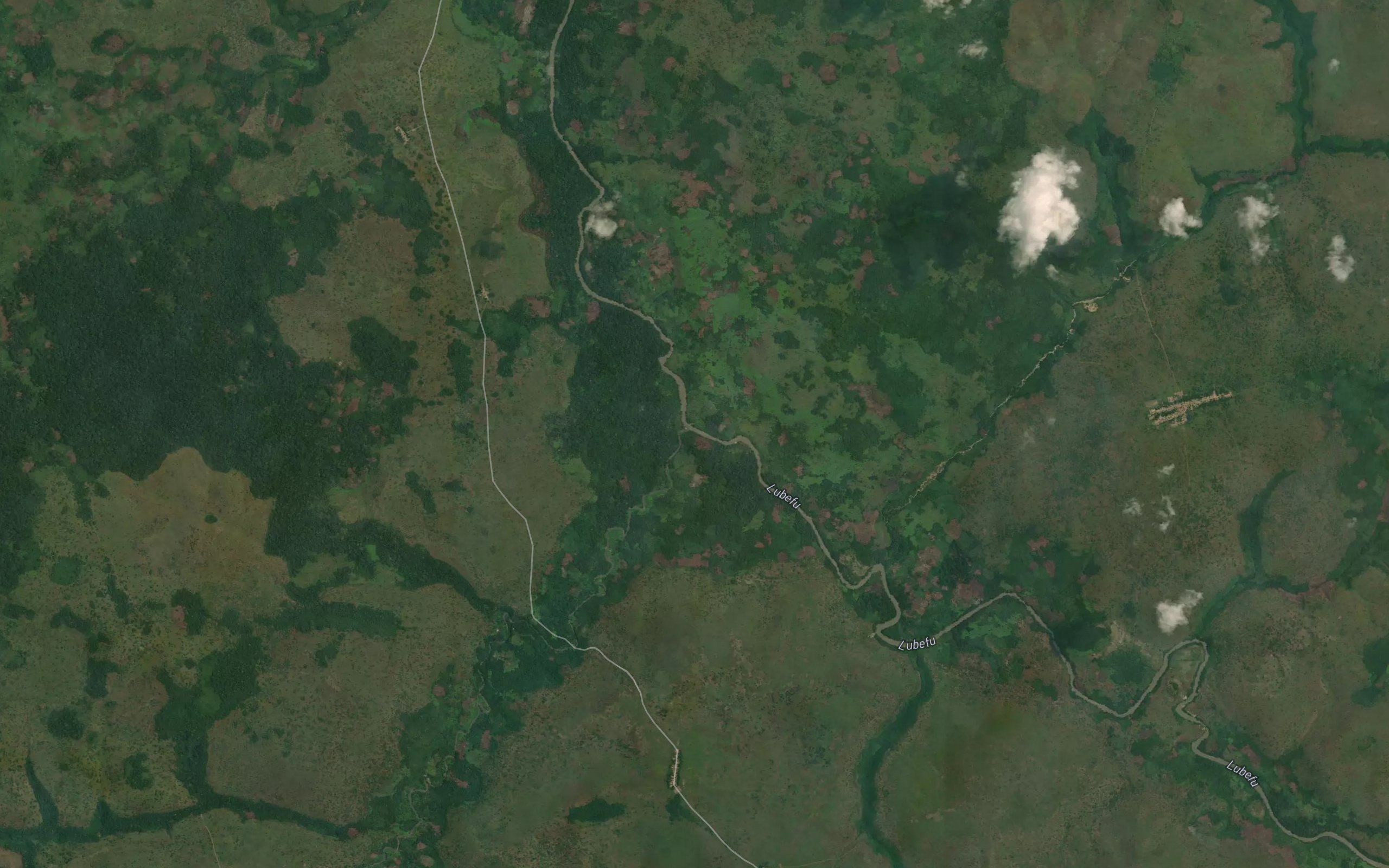 Ludju
