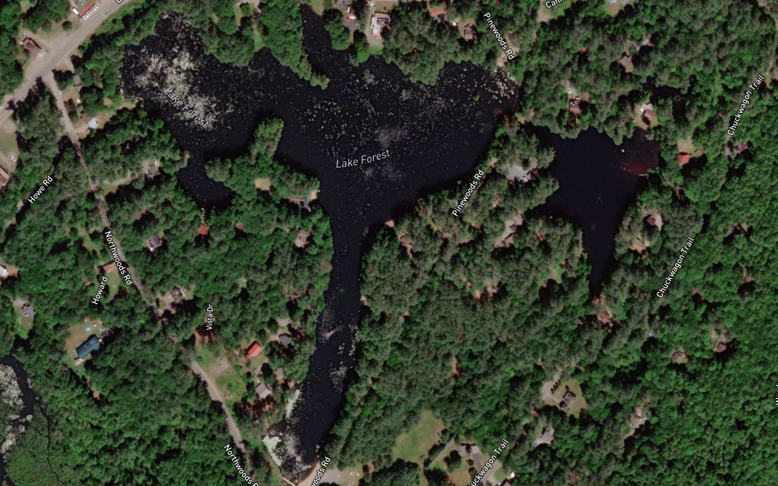 Lake Forest