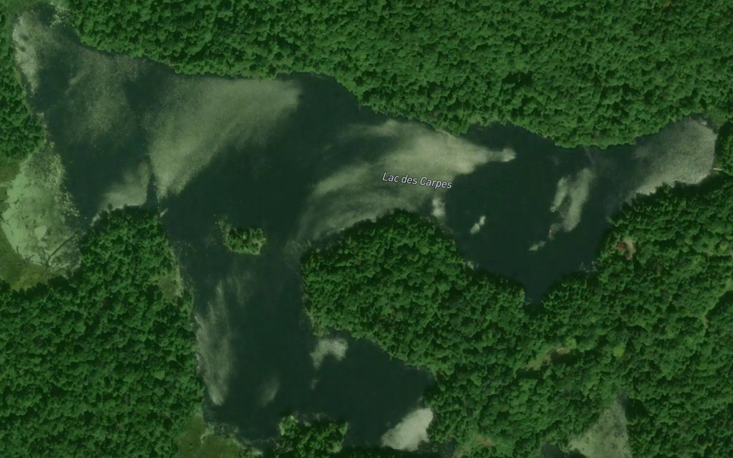 Lac des Carpes