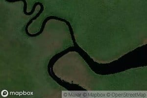 Northwest Fork Alligator River