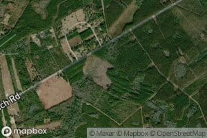 Pine Savannah Branch