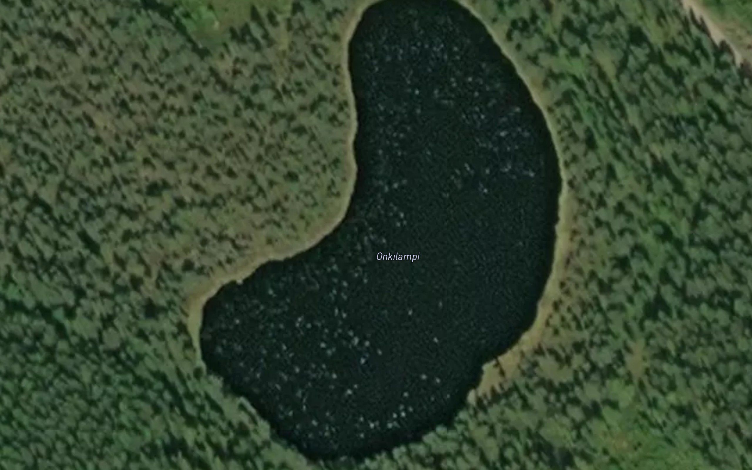 Onkilampi