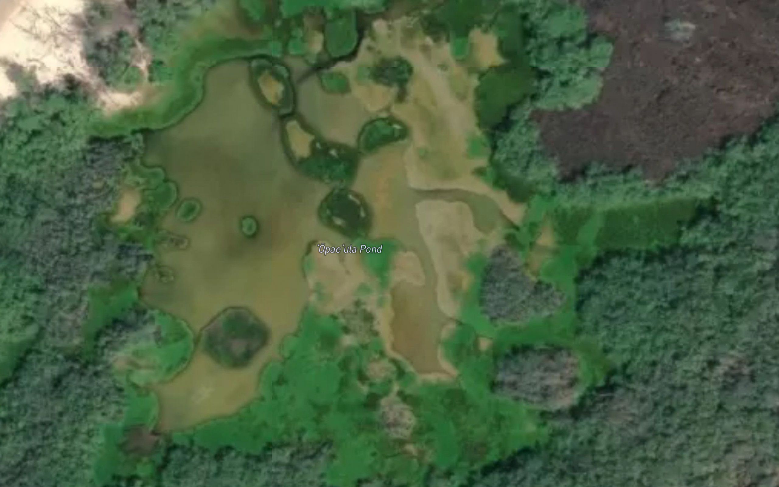 Opaeula Pond