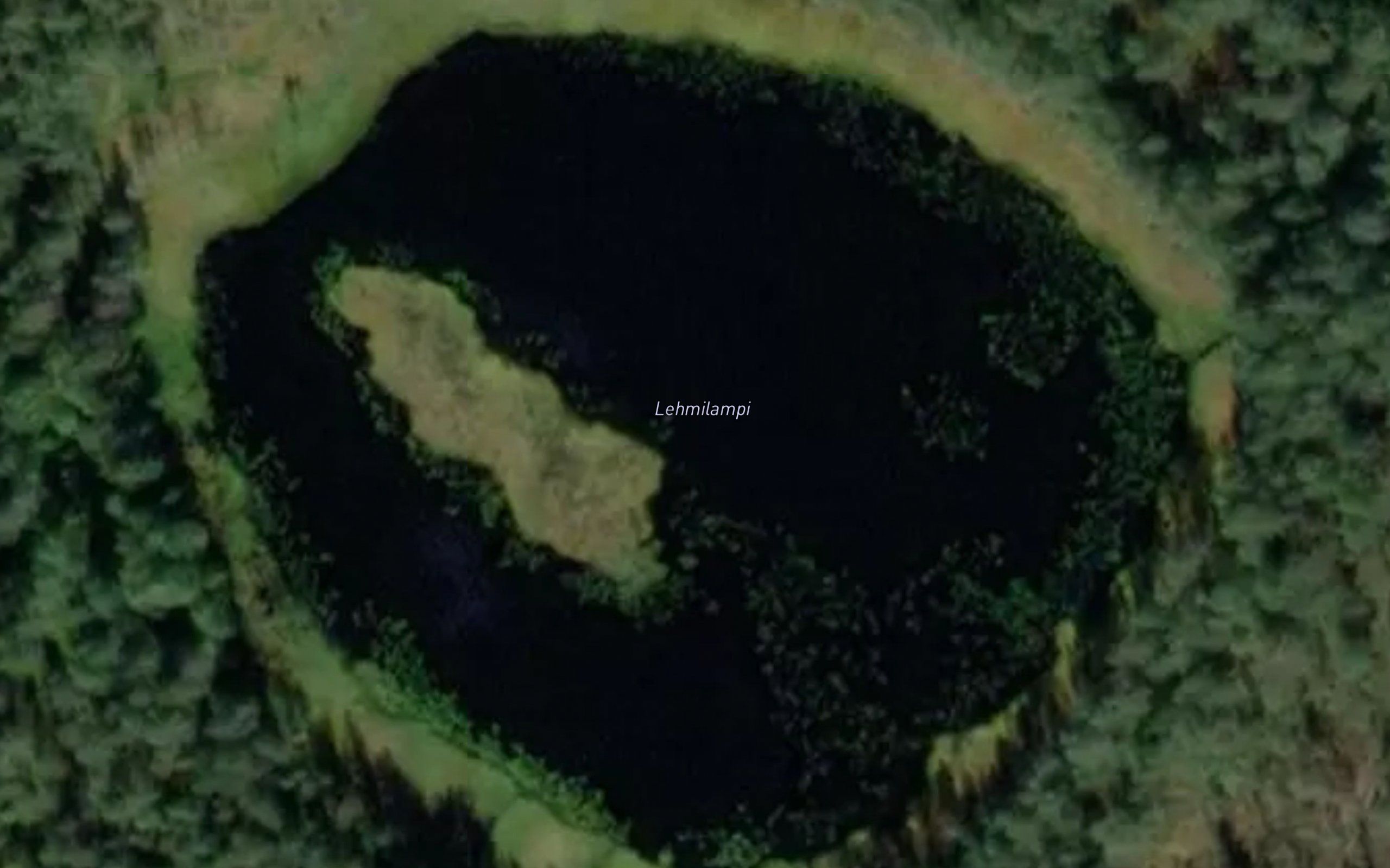 Lehmilampi