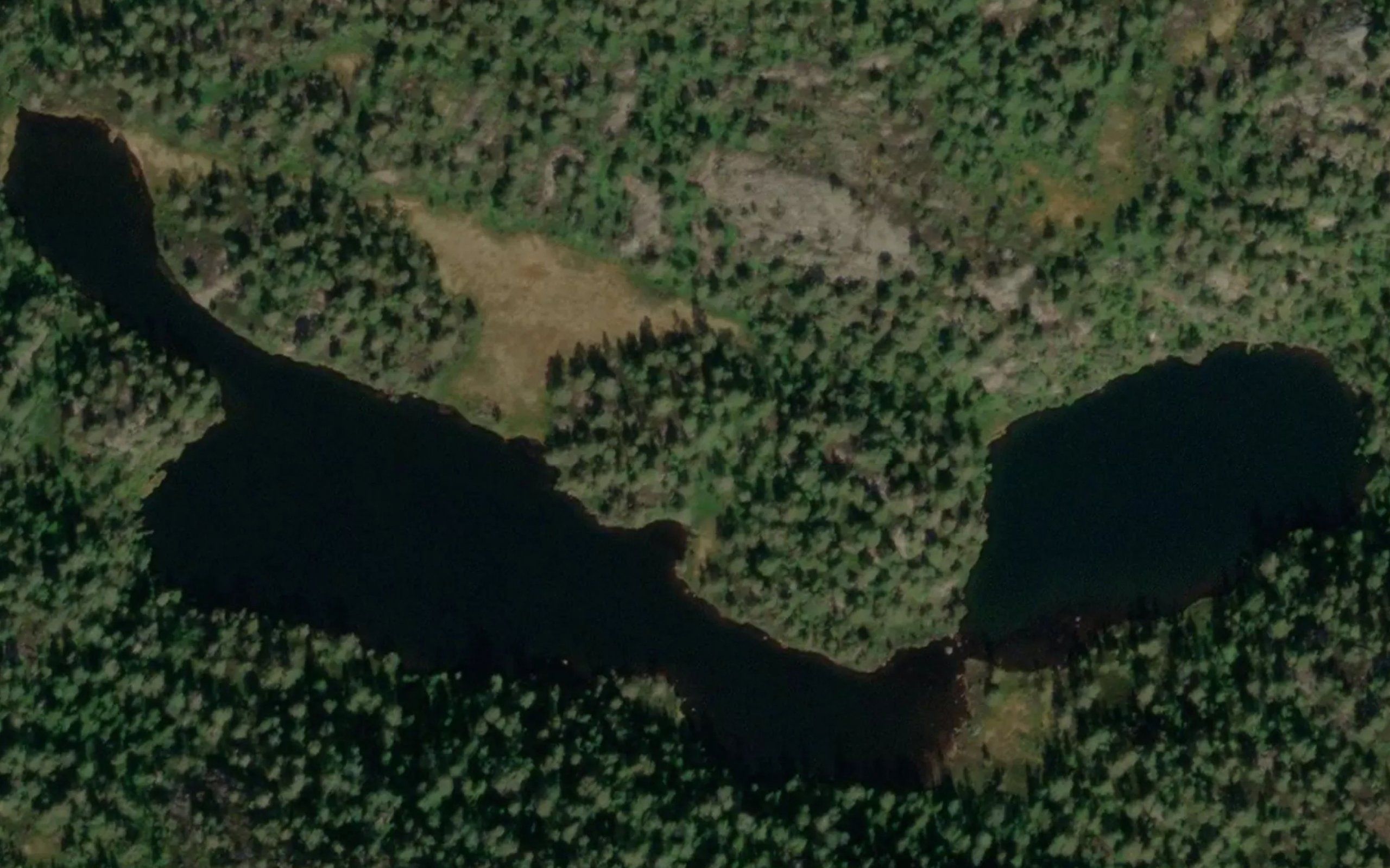 Verefjelltjonn