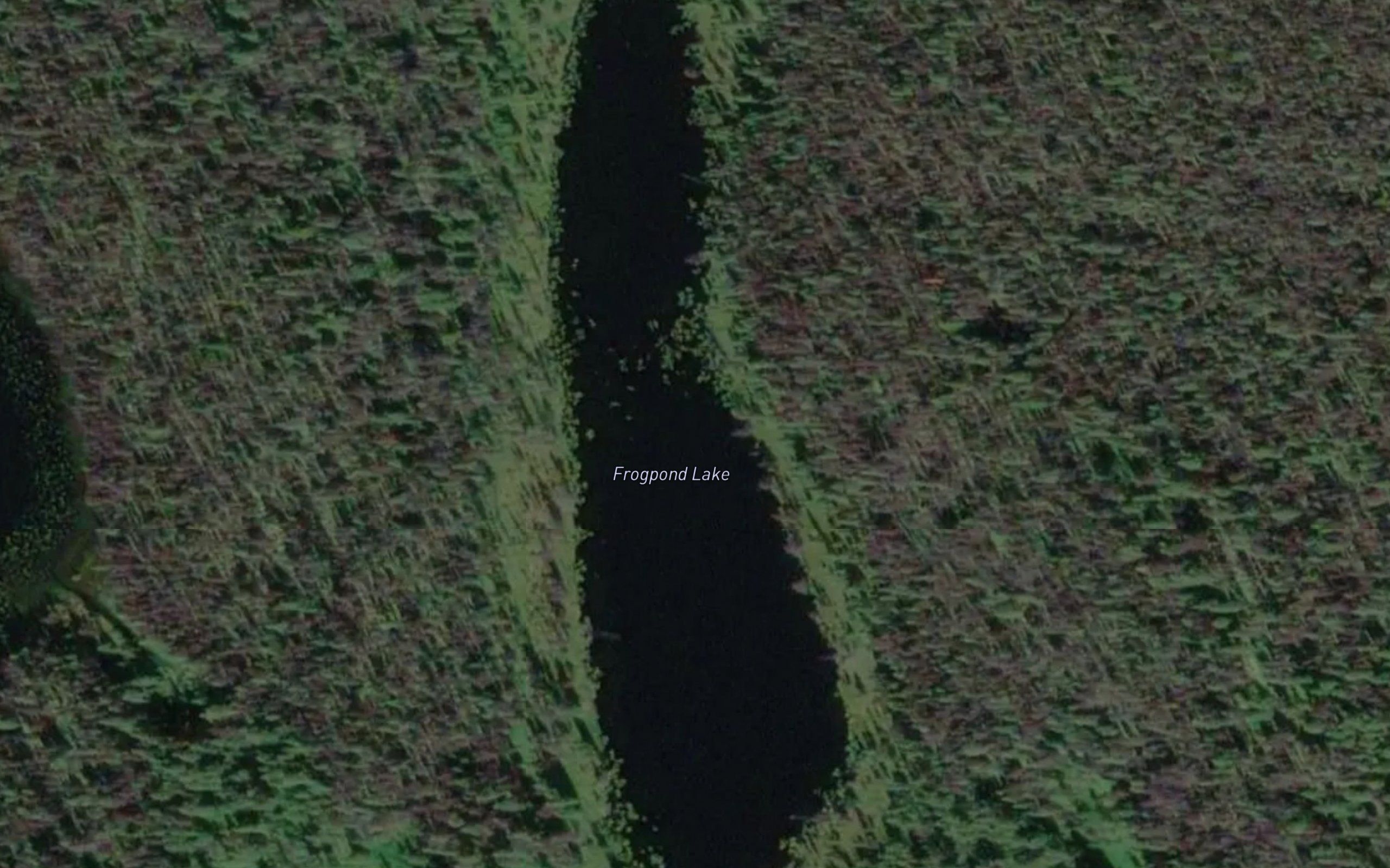 Frogpond Lake