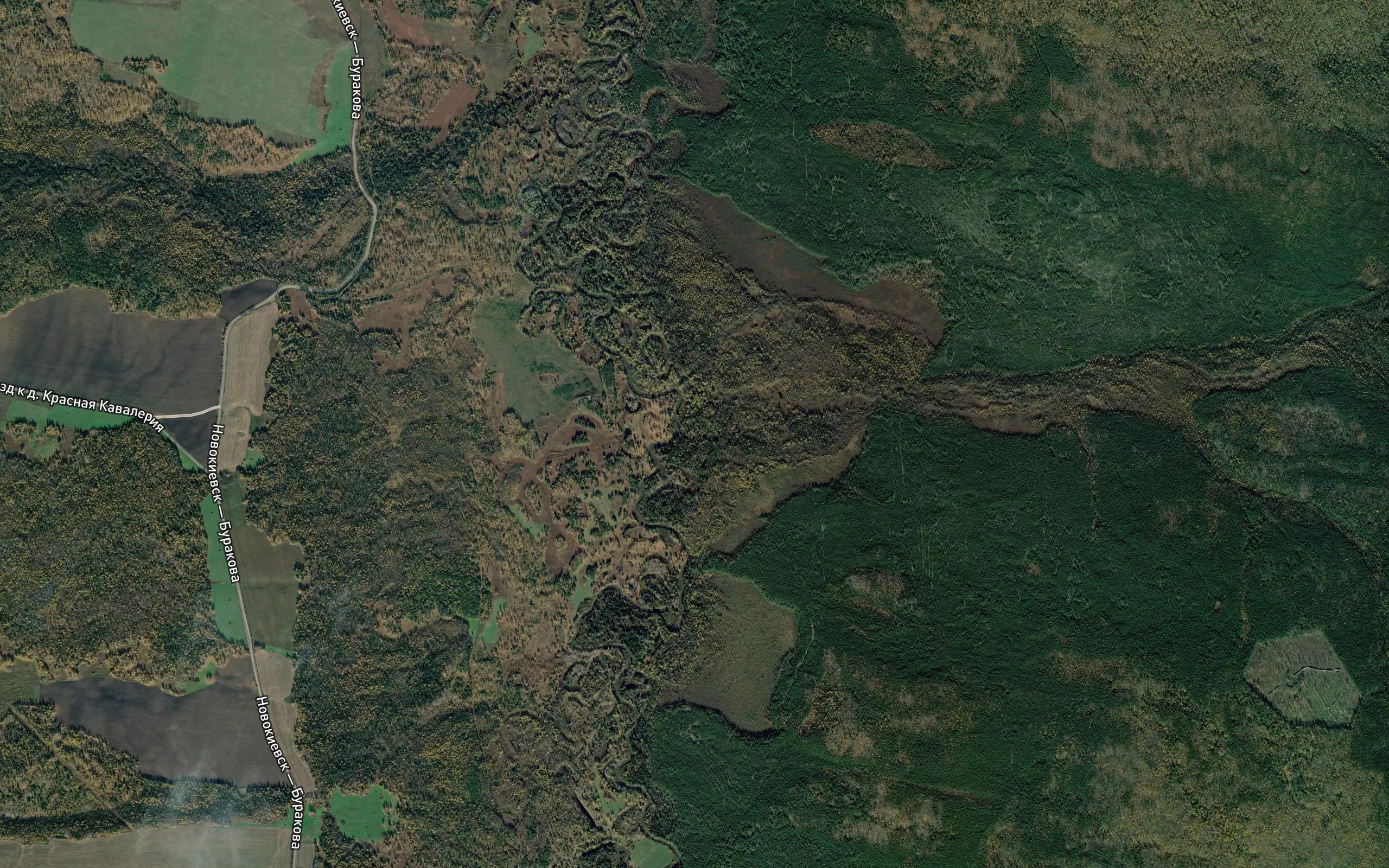 Gribanovka