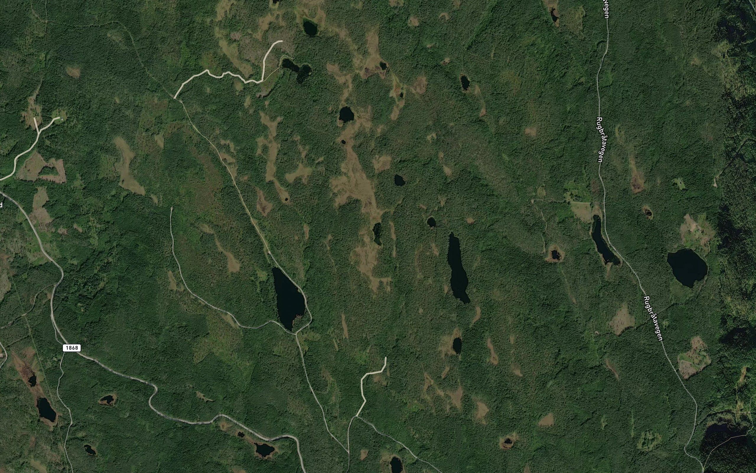 Okseauget