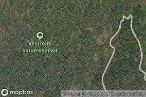 Svartadalsgrovi