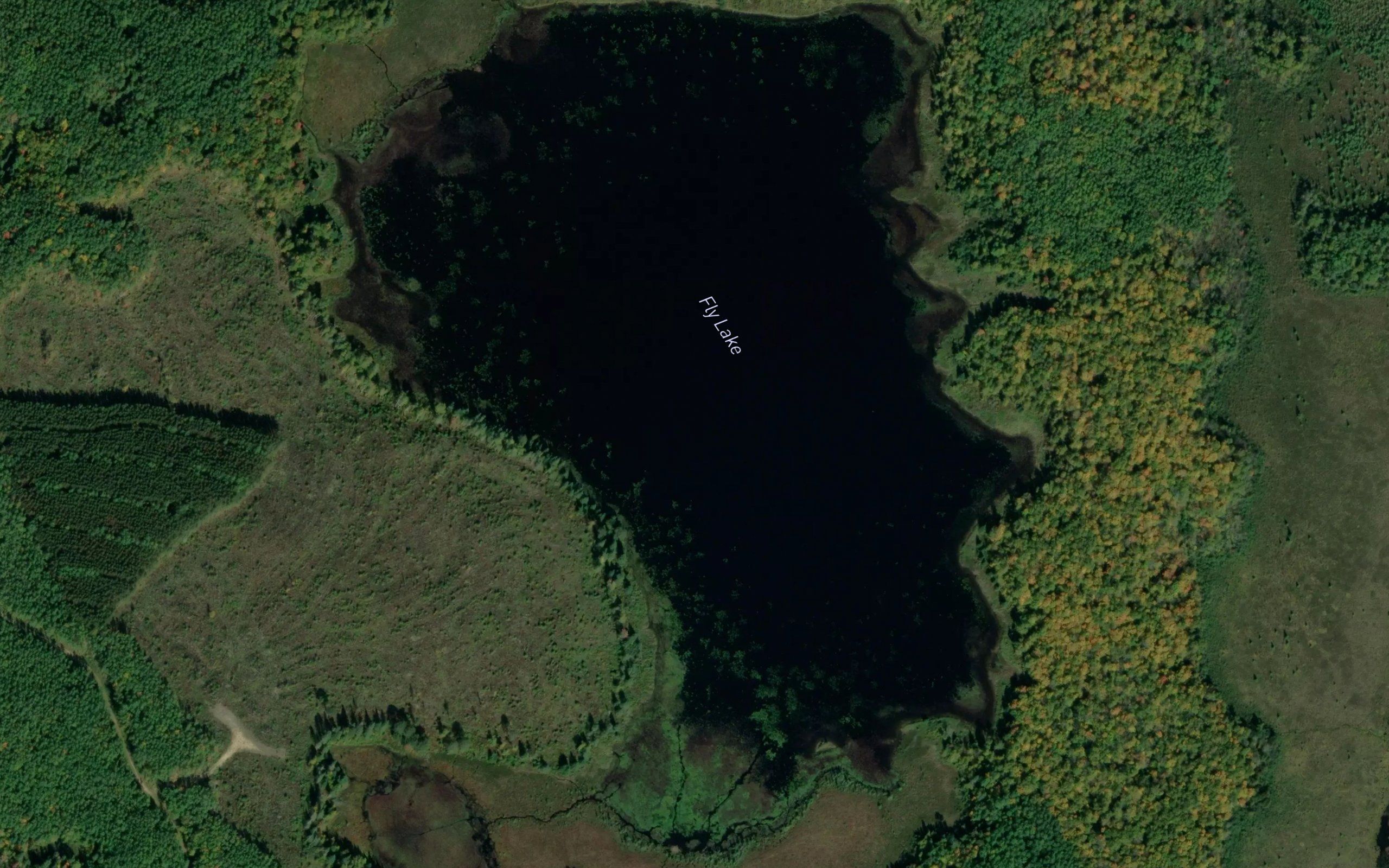 Fly Lake