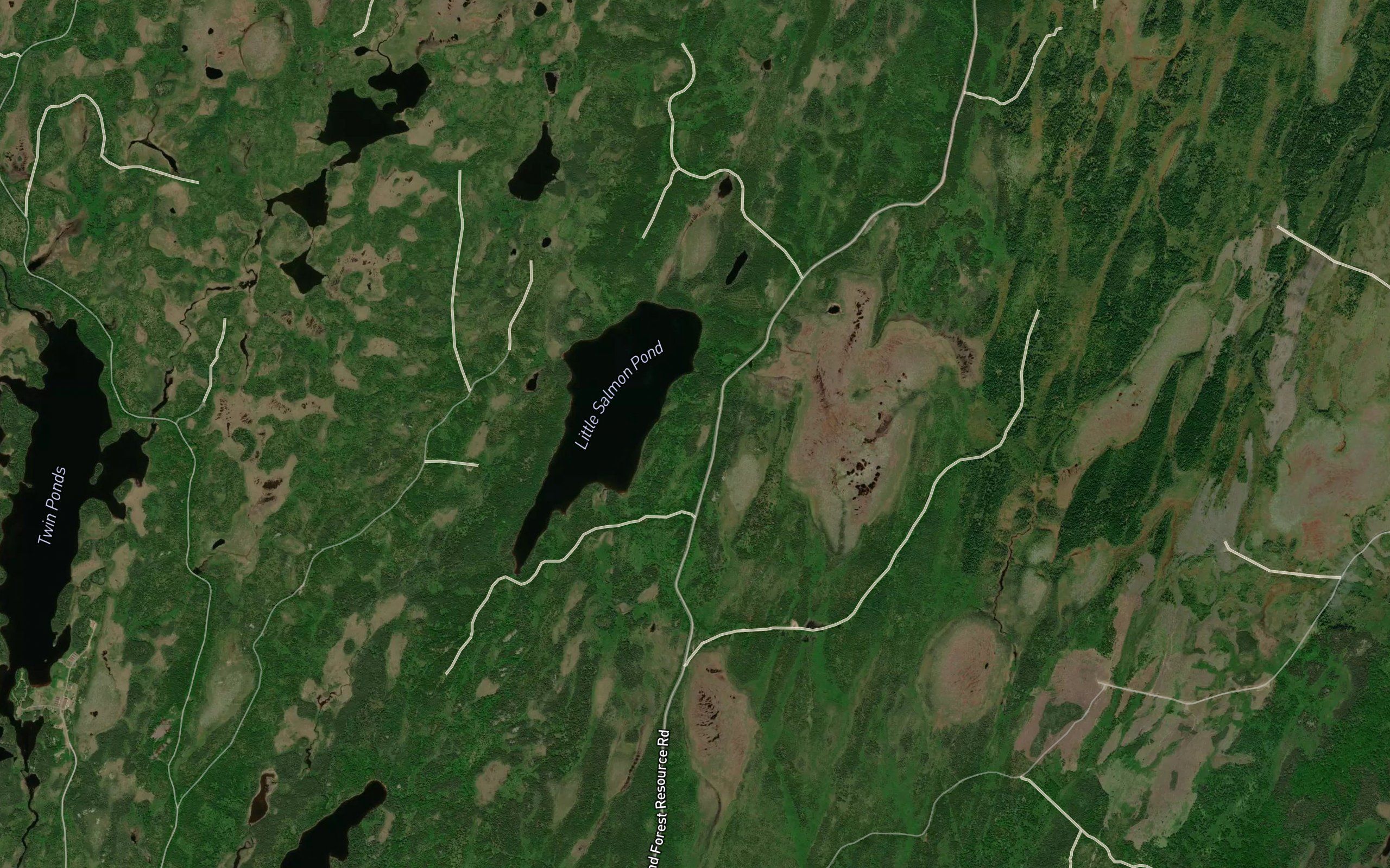Little Salmon Pond