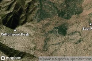 Cement Trough Spring