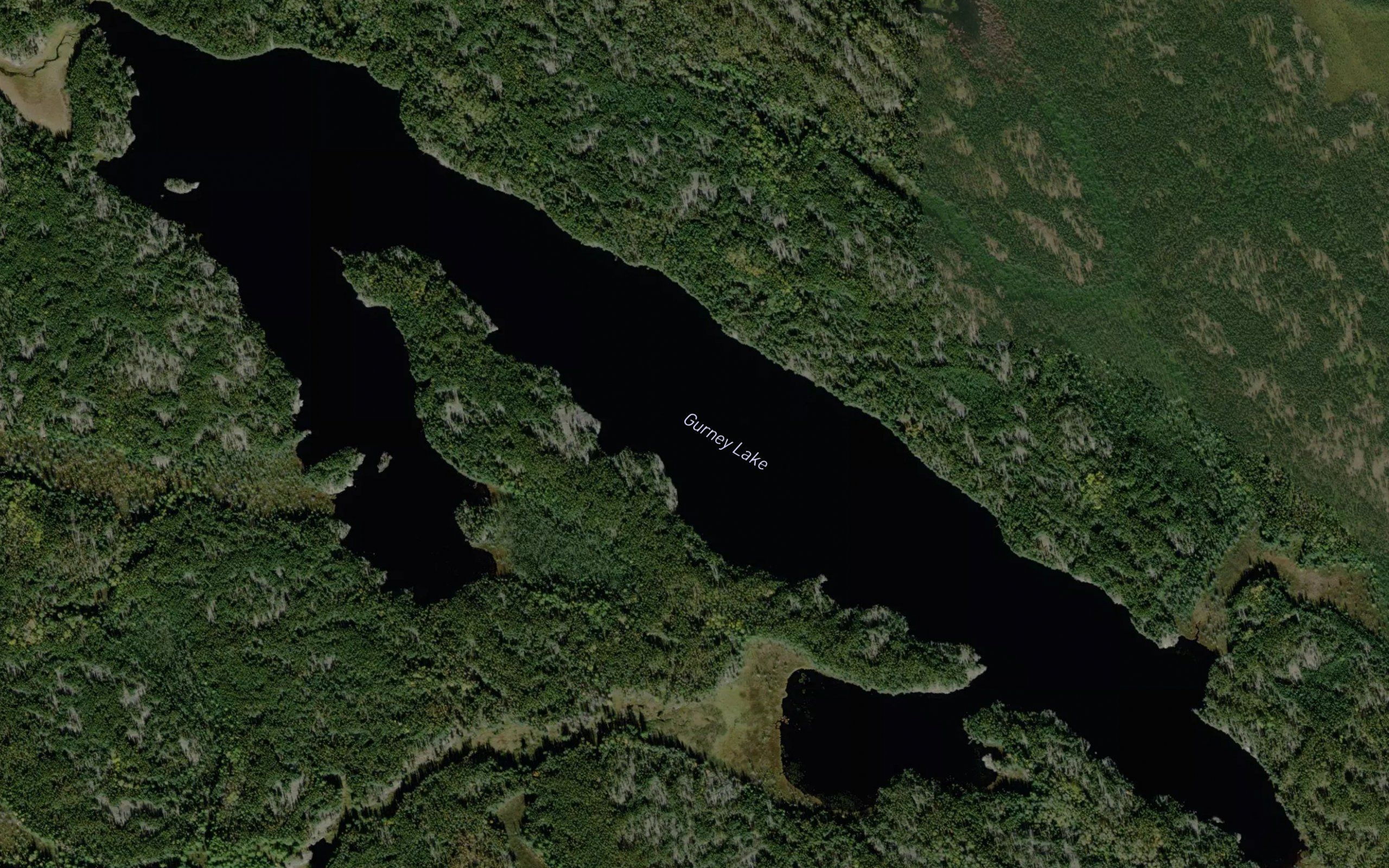 Gurney Lake