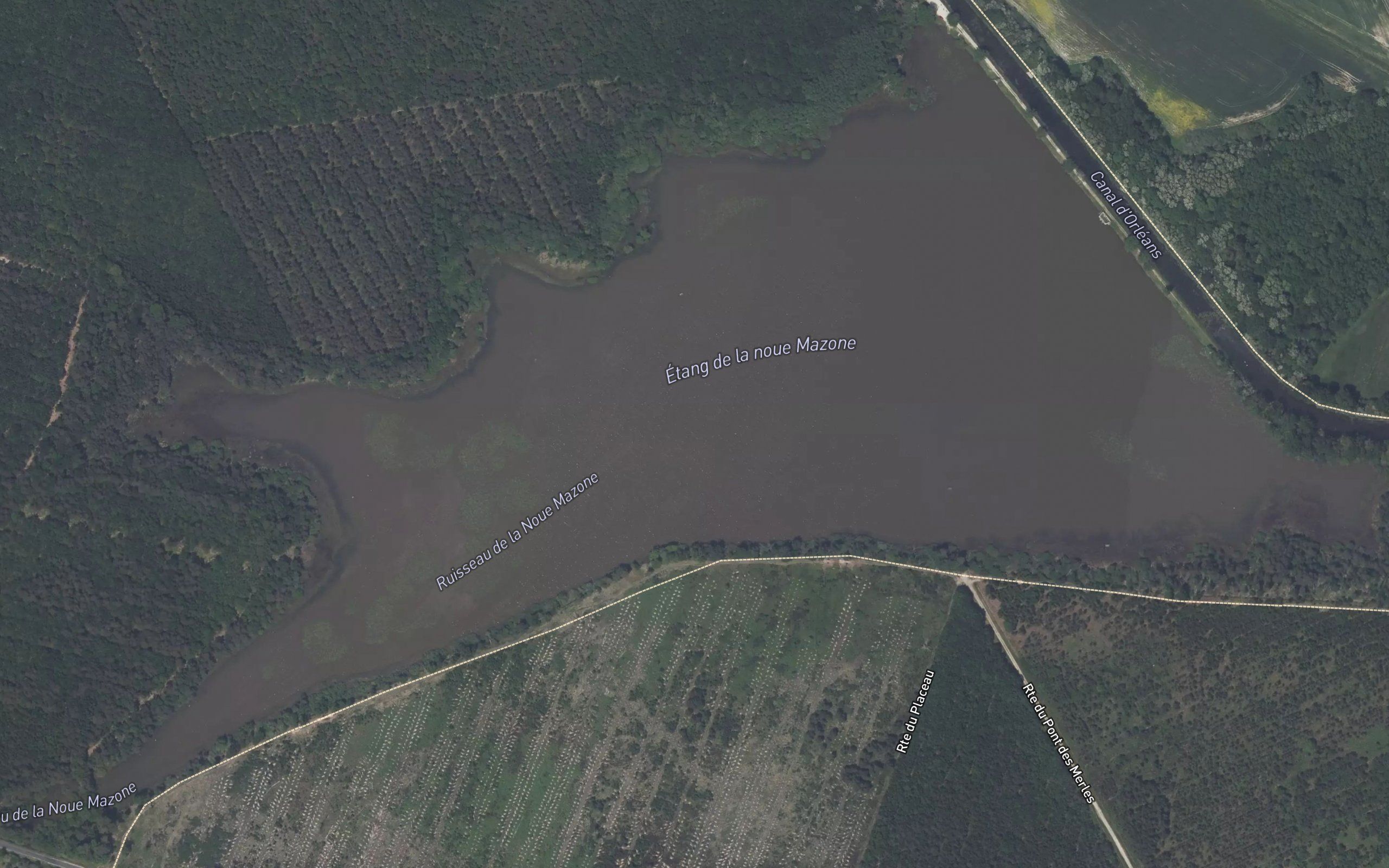 Etang de la Noue Mazone