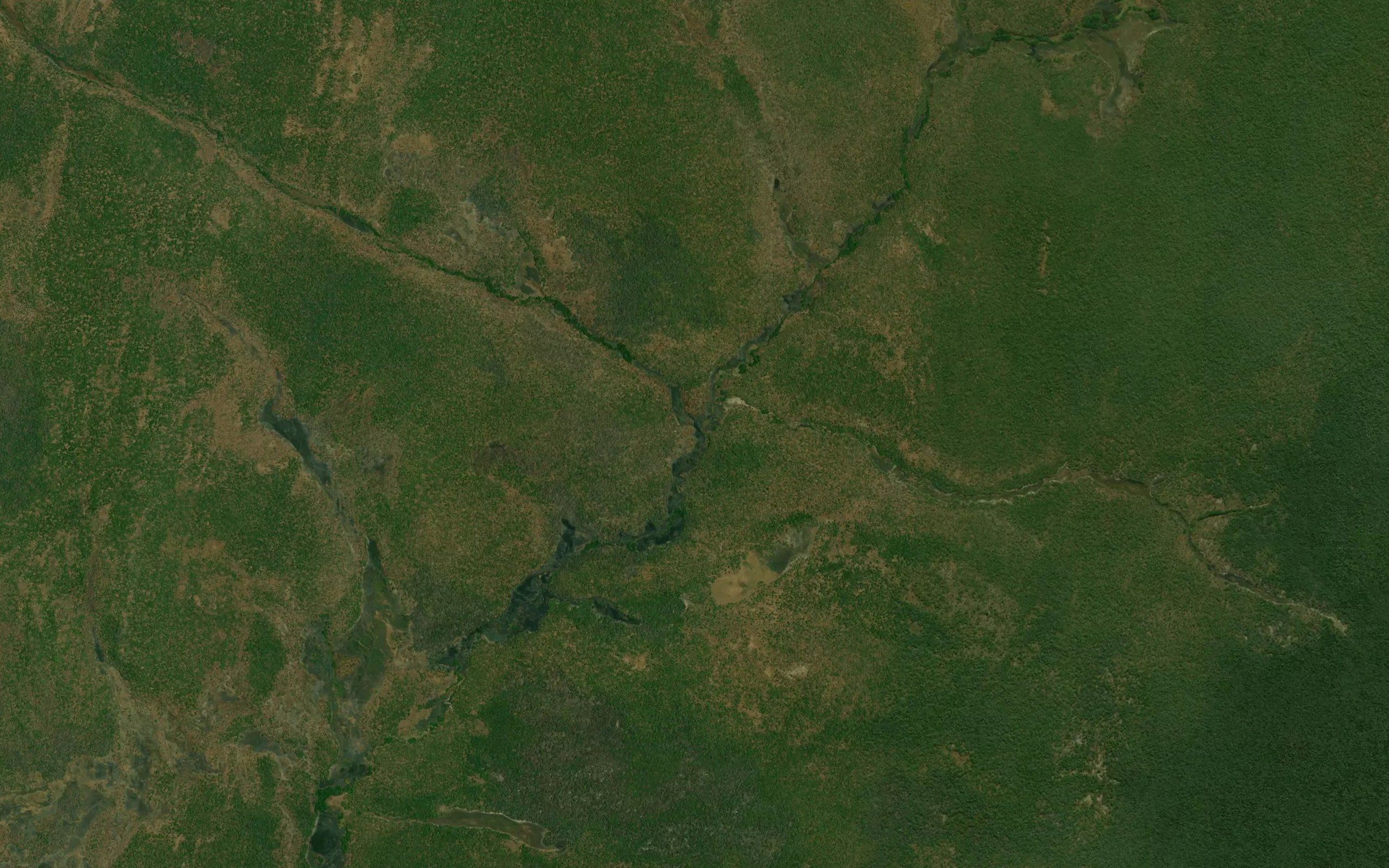 Caissalo