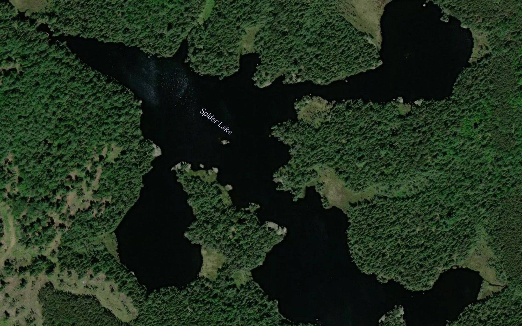 Satellite map of the Spider Lake