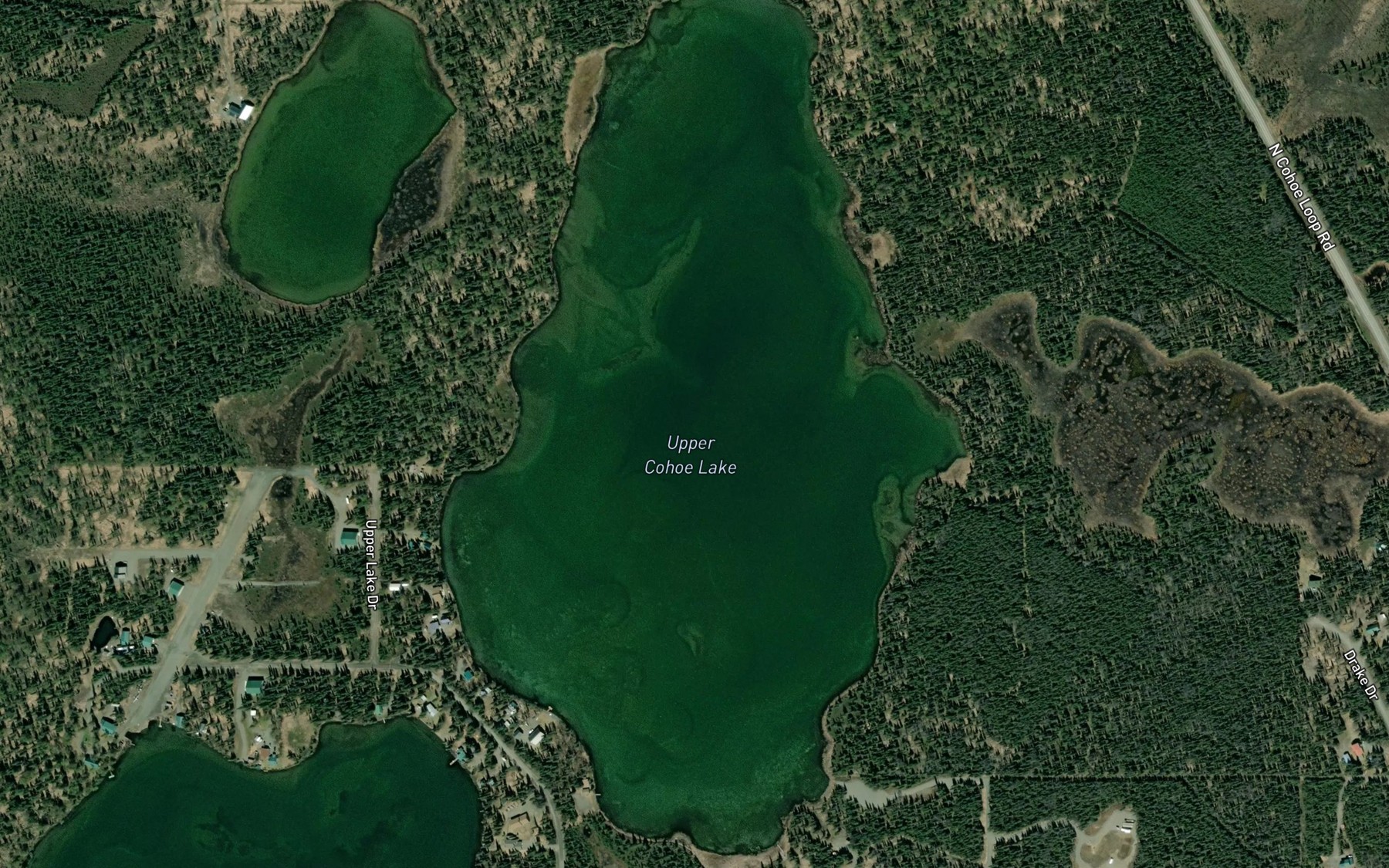 Satellite map of the Upper Cohoe Lake