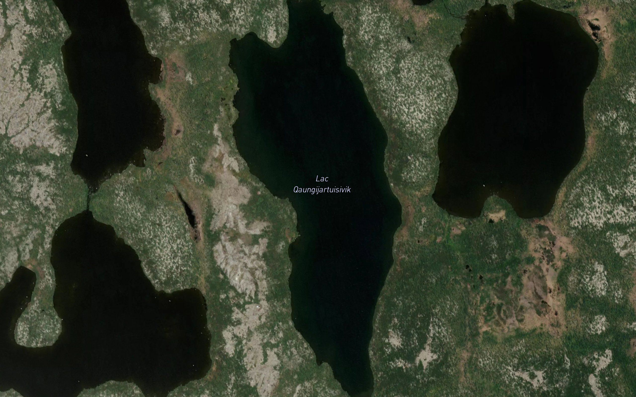 Lac Qaungijartuisivik