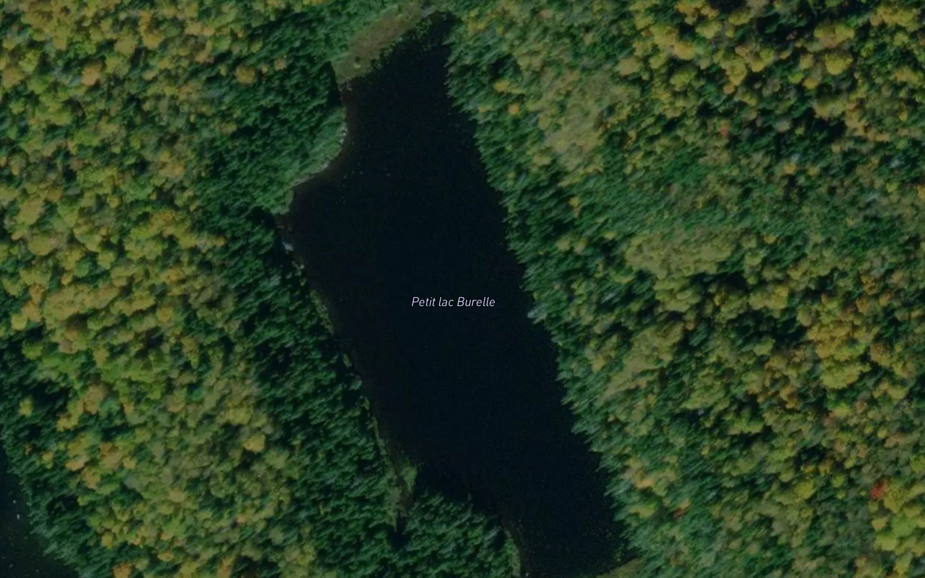 Satellite map of the Petit lac Burelle
