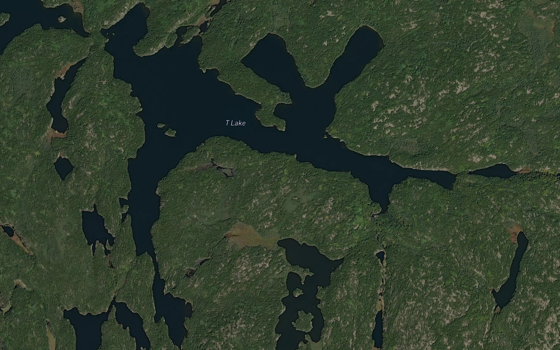 Satellite map of the T Lake