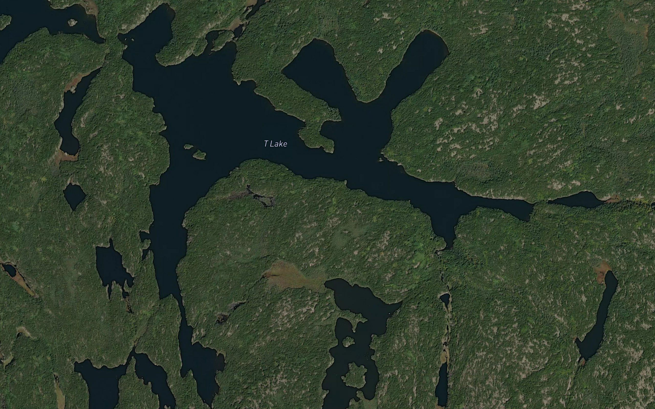 T Lake