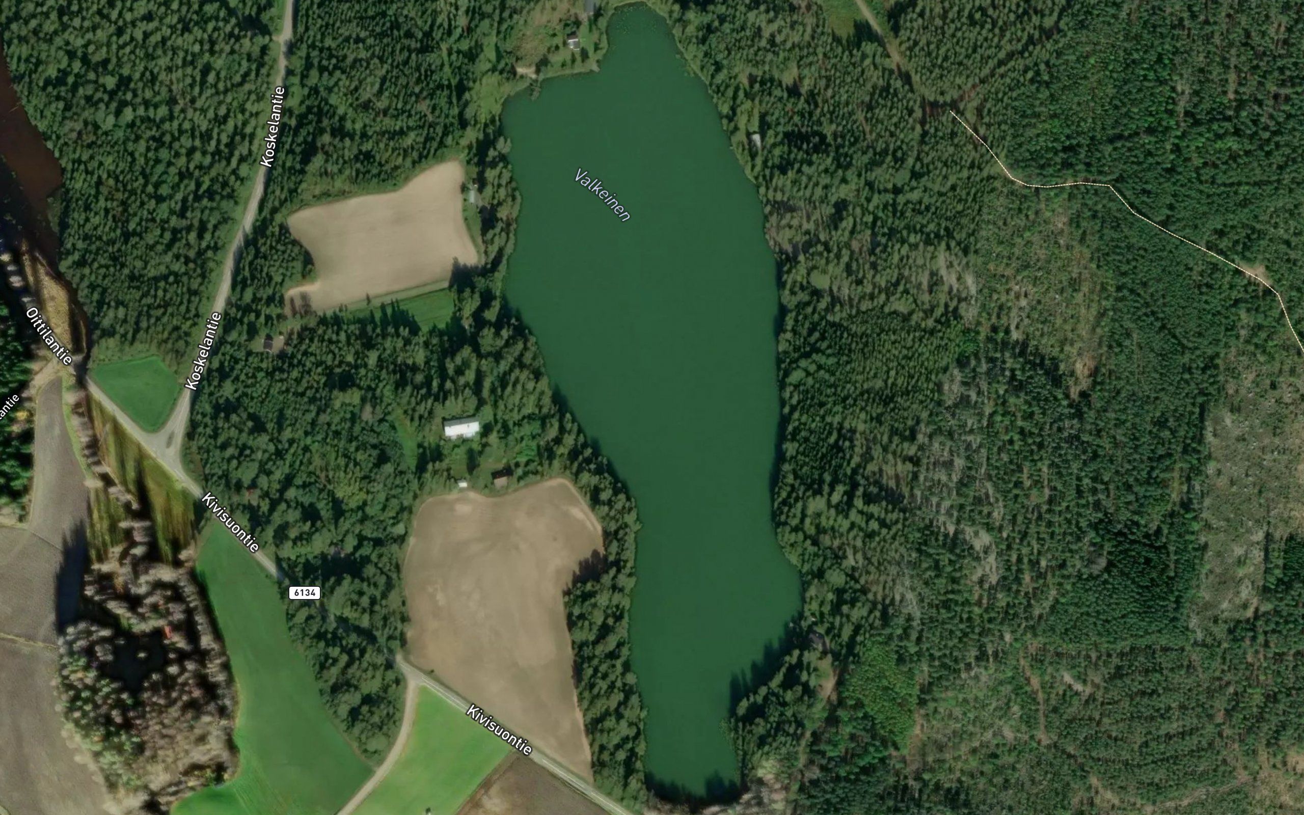 Valkeinen