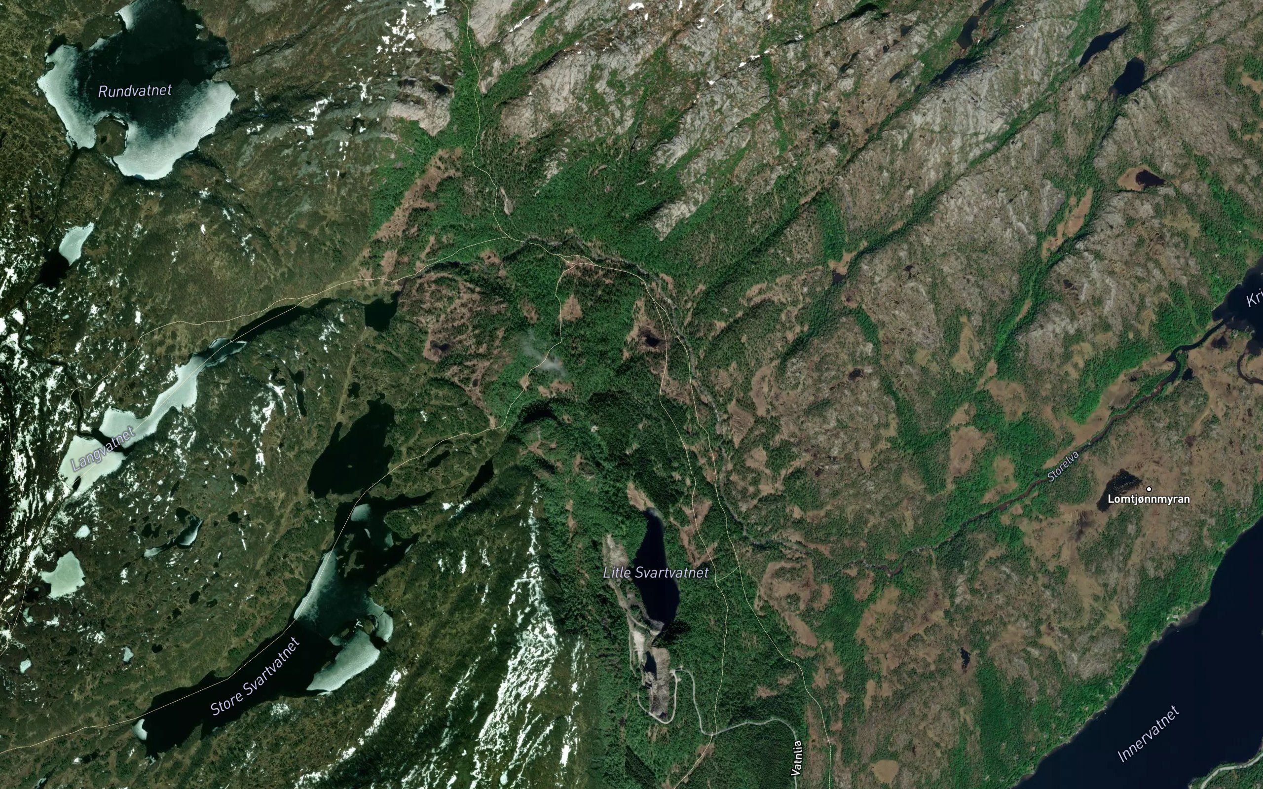 Svartvasselva
