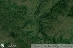 Middle Prong Sneeds Creek